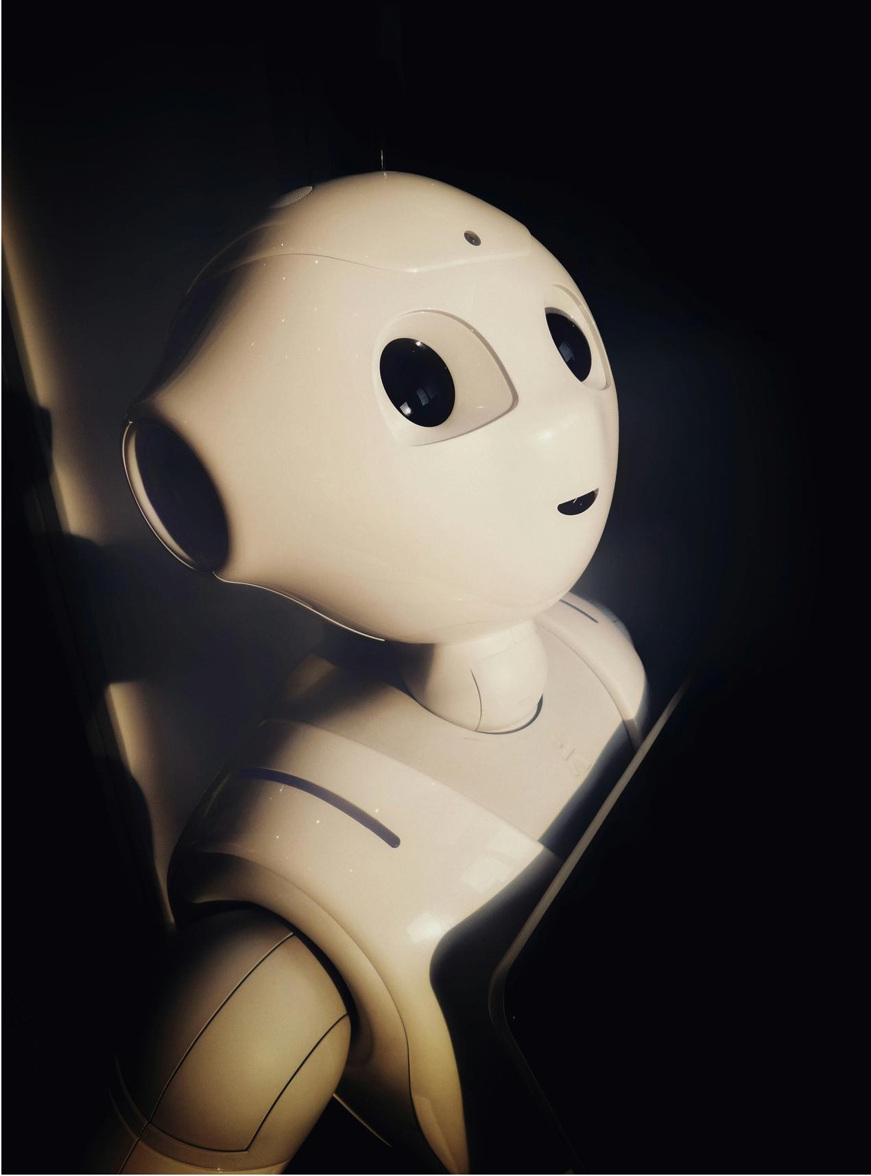 Reporting y analítica